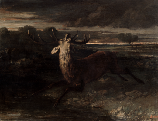 BA - Cerf