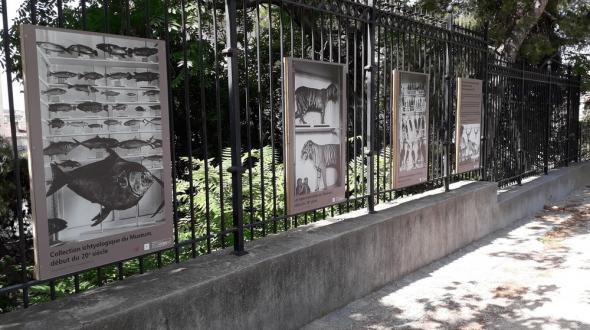 200 ans de curiosités