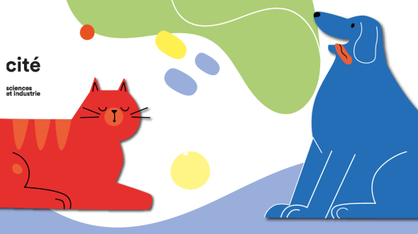 expo chiens et Chats