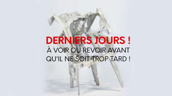 Anita Molinero - Plastic Butcher - mac