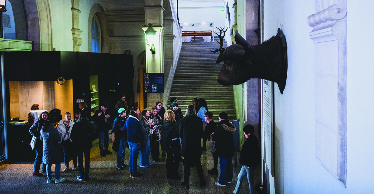 Museum 2