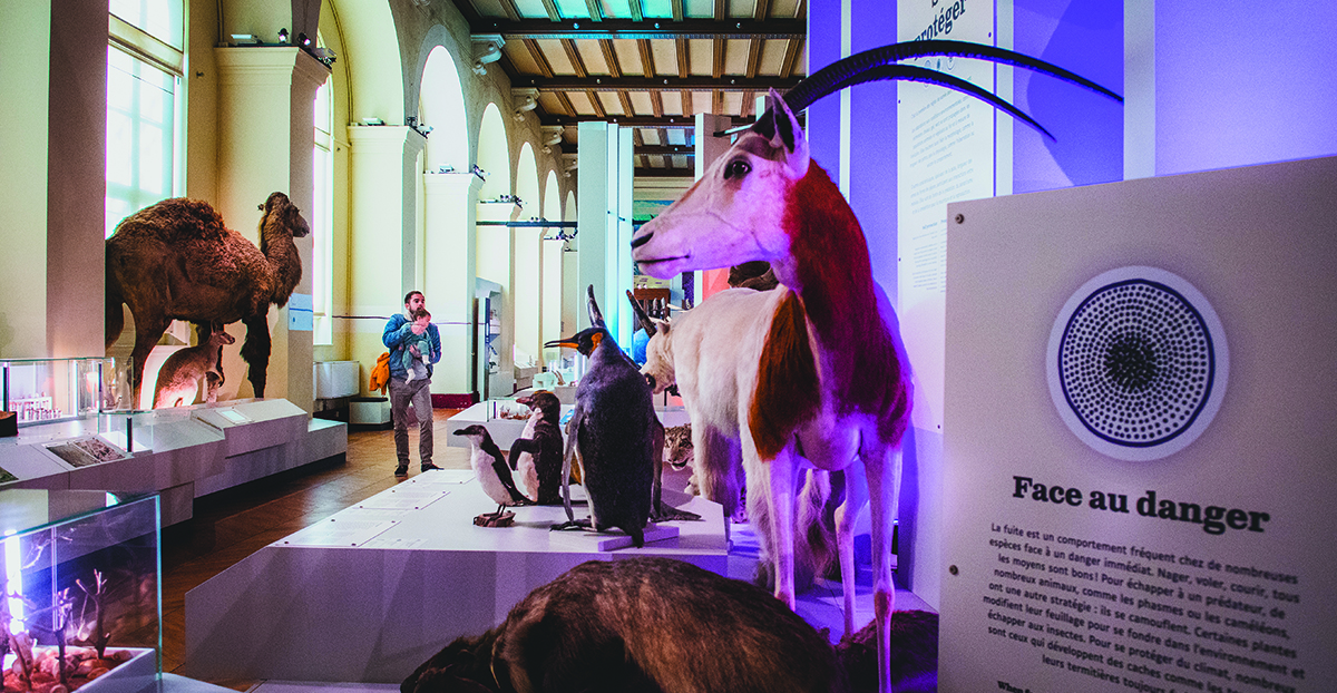 Museum 3