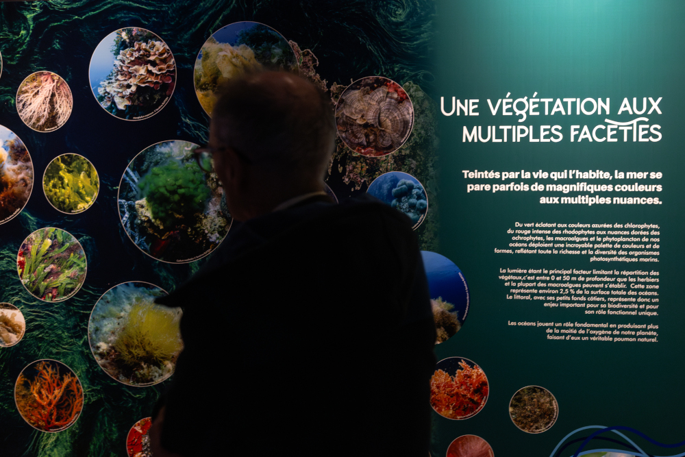 Oceans 20 MHNM
