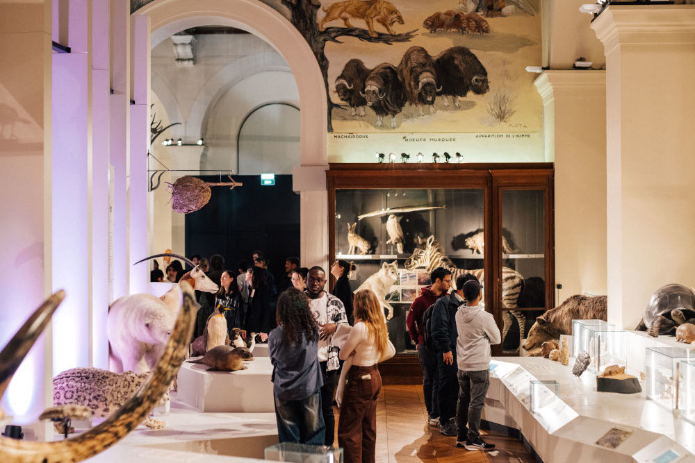 soirée etudiant museum 4