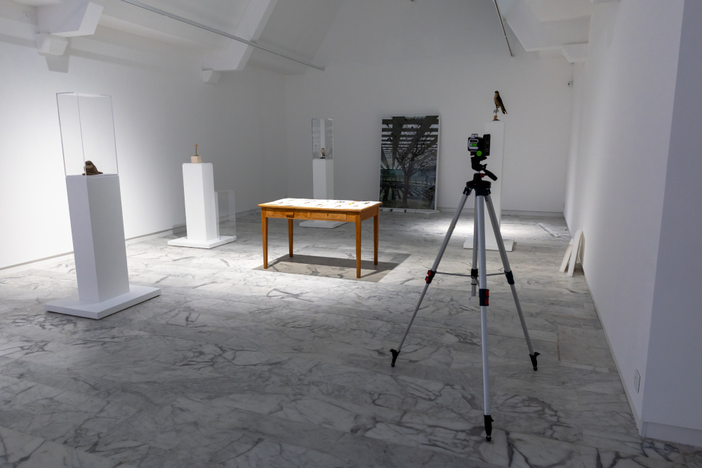 montage Ali Cherri 7