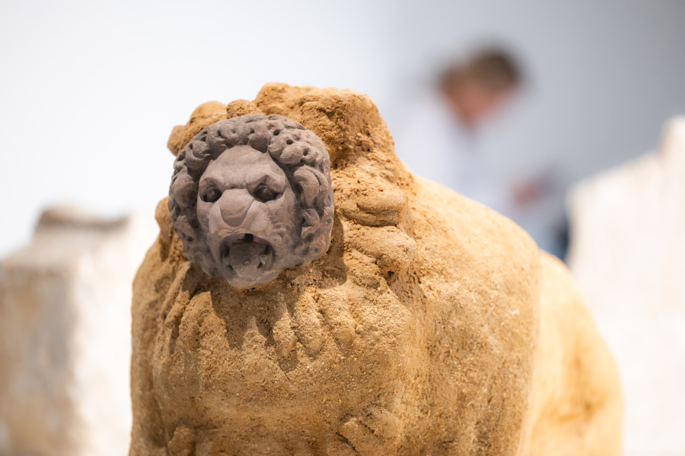 montage Ali Cherri 5