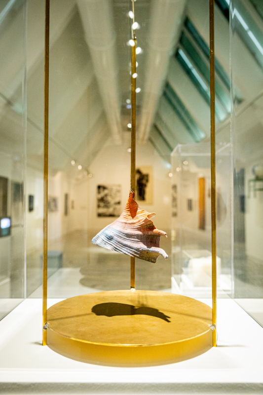 Vie climatique [mac] VDM