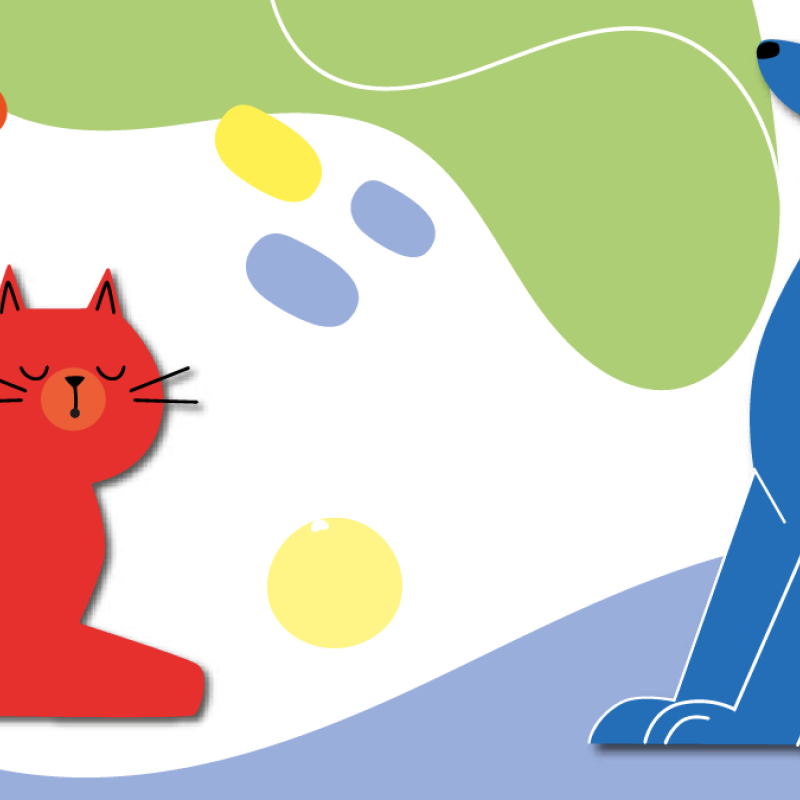 expo chiens et Chats