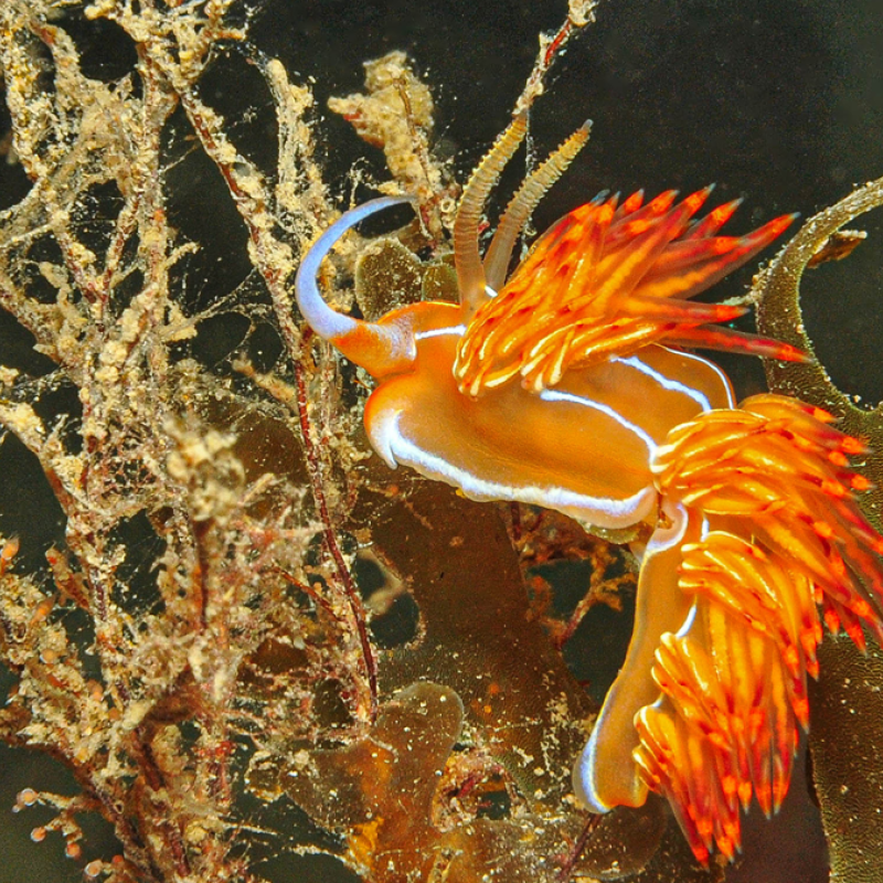 Marseille, côté mer, côté terre - MHNM