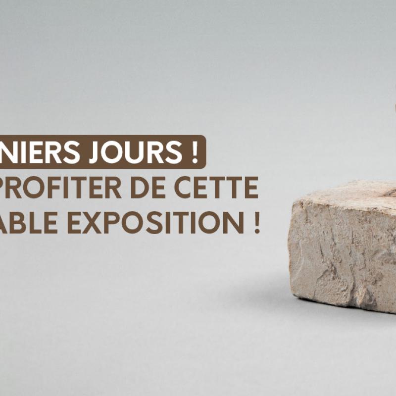 Giacometti derniers jours