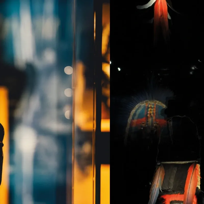 maaoa auteur au musee