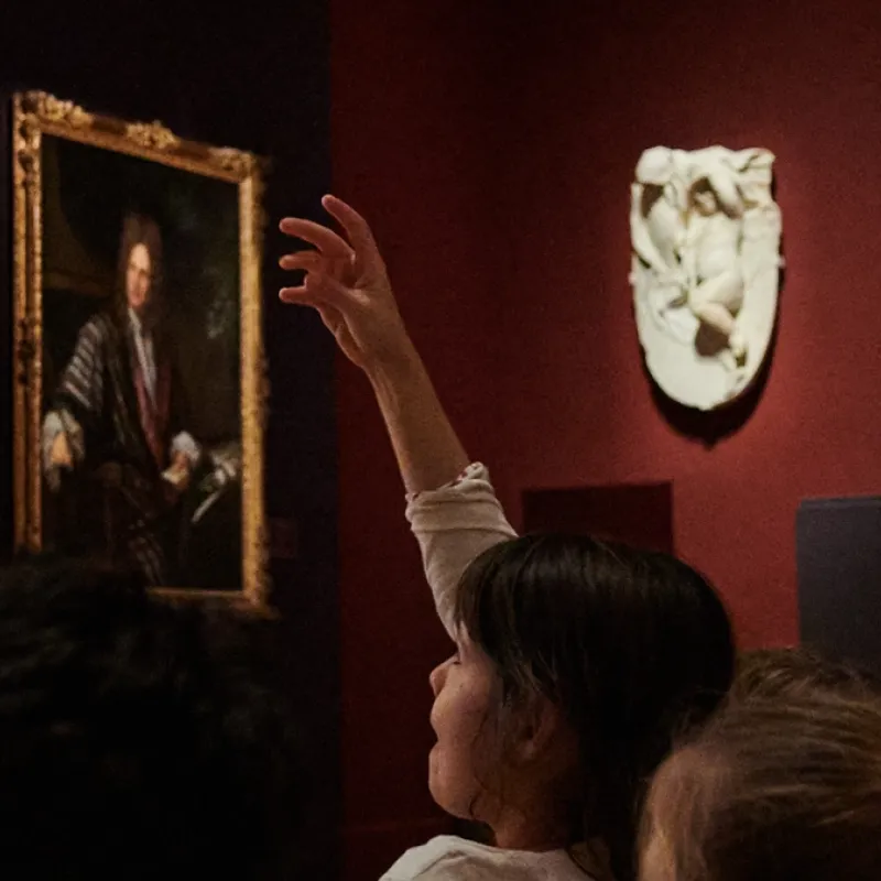 MBA promenons nous dans les bois