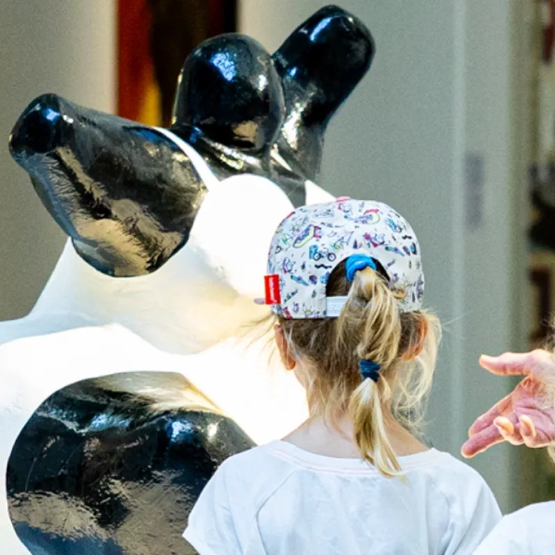 visite en famille mac