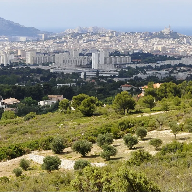 massif étoile MHNM