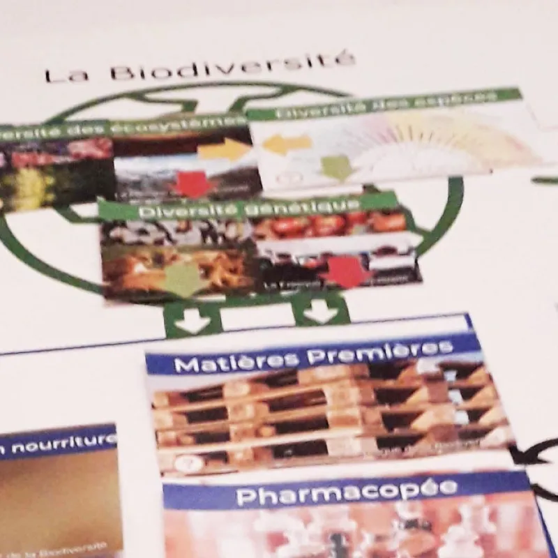 fresque biodiversite MHNM