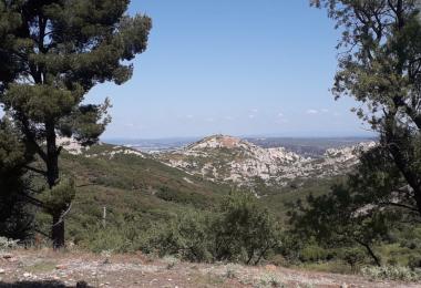 Sortie nature - Le Rove, Massif de la Nerthe - MHNM