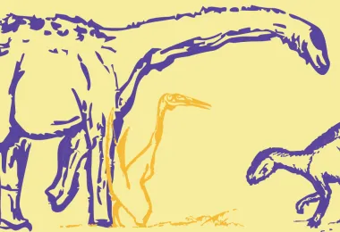 ""